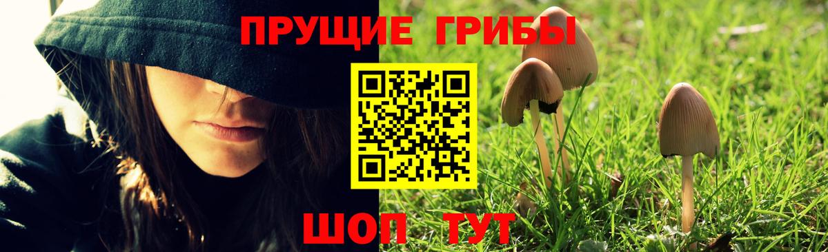 Галлюциногенные грибы Magic Shrooms  Вход с VPN  Чебоксары  Псилоцибиновые грибы MAGIC MUSHROOMS 